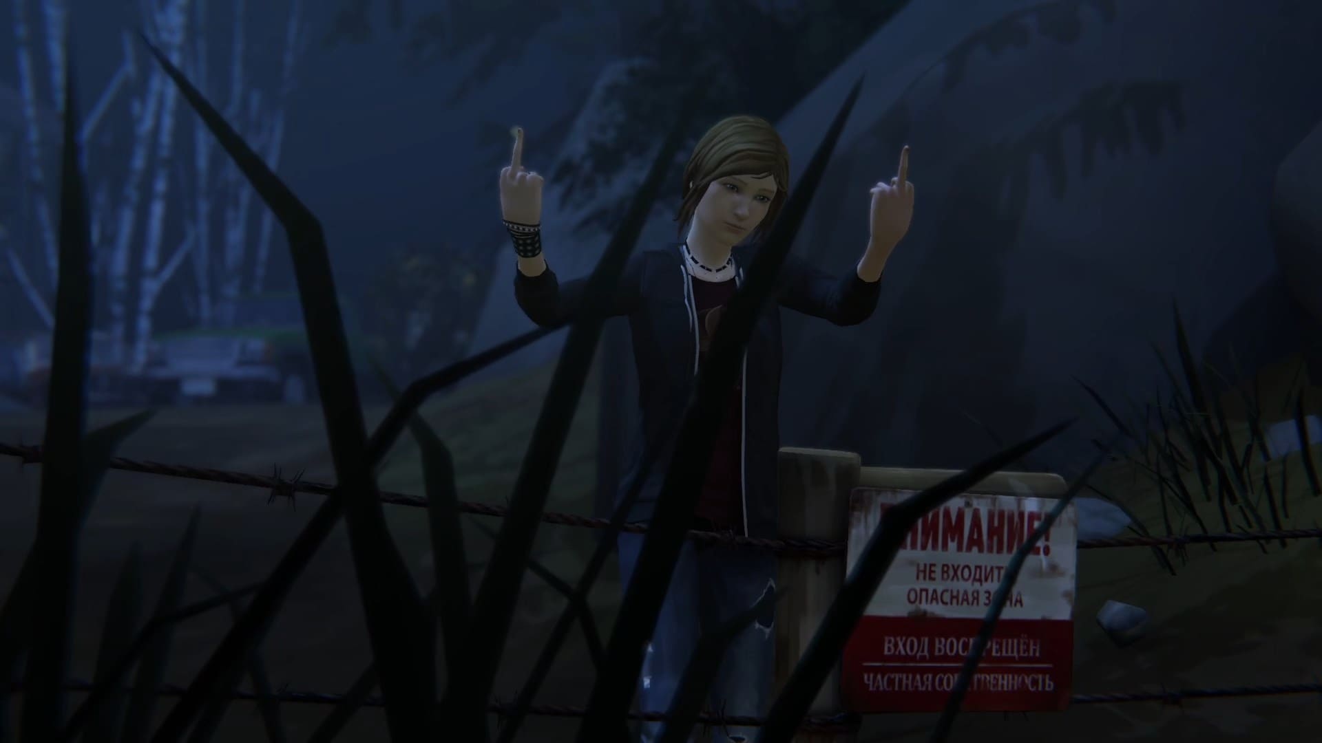 Life is Strange Before the Storm - геймплей игры Windows